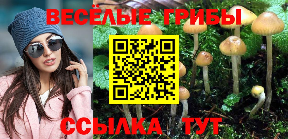 Нижнеудинск  Псилоцибиновые грибы мицелий  Вход с VPN 